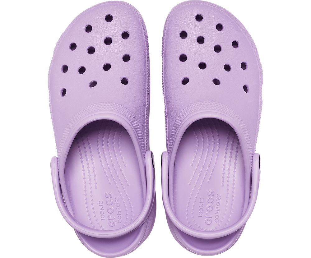 Crocs Classic Platform Træsko Dame Lilla | 401-ORGAEH