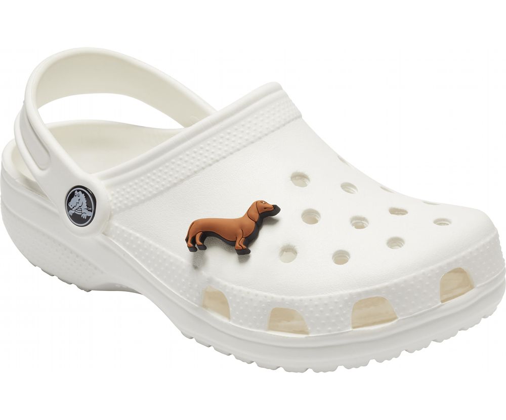 Crocs Dachshund Jibbitz Dame Brune | 426-EUHLKW